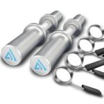 16" Olympic Dumbbell Handle, Dumbbell Bar for 2-inch Olympic Weight Plates, Loadable Dumbbells for Home Gym Strength Training, 2 Pair of Spring Collars Included Silver