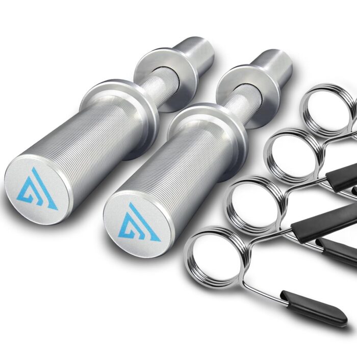 16" Olympic Dumbbell Handle, Dumbbell Bar for 2-inch Olympic Weight Plates, Loadable Dumbbells for Home Gym Strength Training, 2 Pair of Spring Collars Included Silver