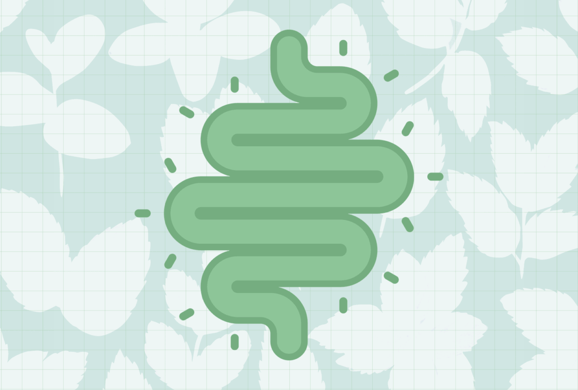 Best Herb for Gut Health, According to Dietitians