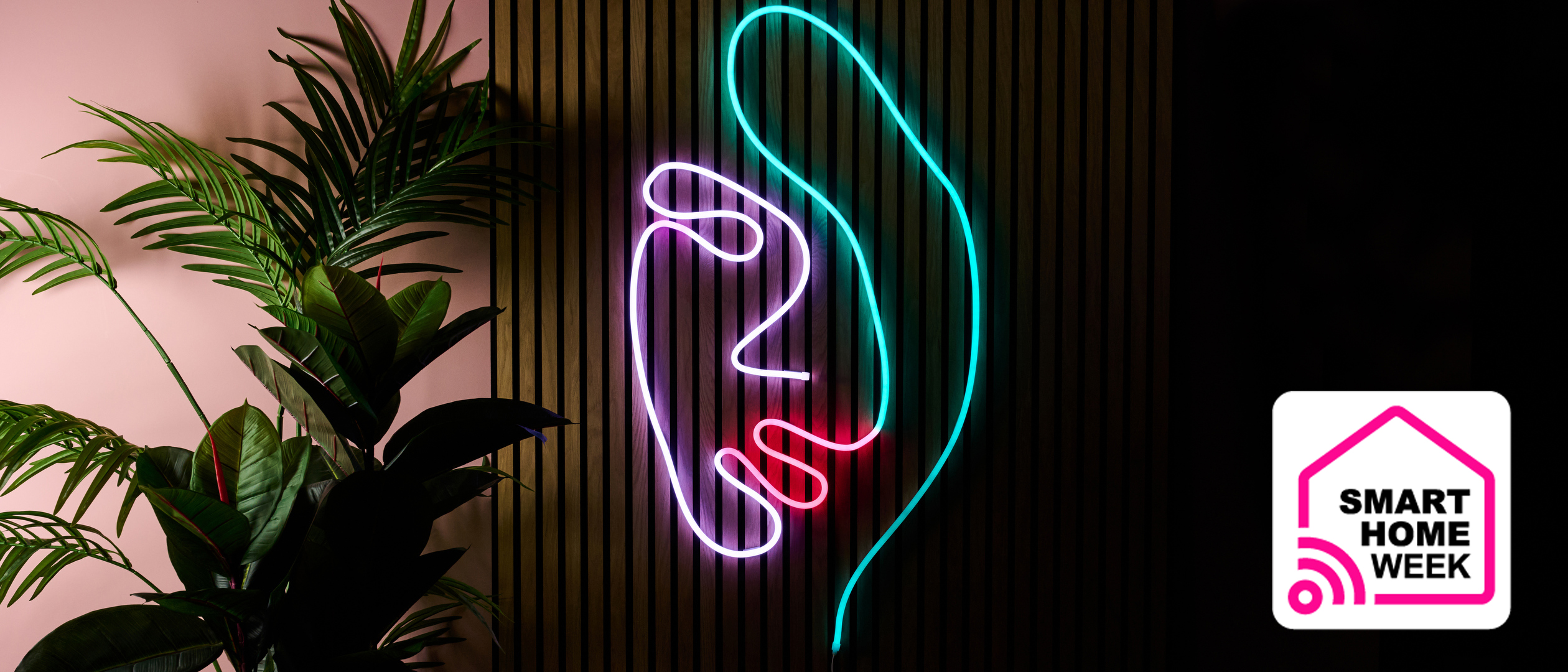 The rope light is in the shape of a woman's face