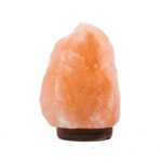Himalayan Glow [Natural Crystal] Himalayan Salt Lamp Hand Carved on Wood Base with Dimmable Cord and Light Bulb - 6 to 9 Inches Height, 5 to 10 Pounds