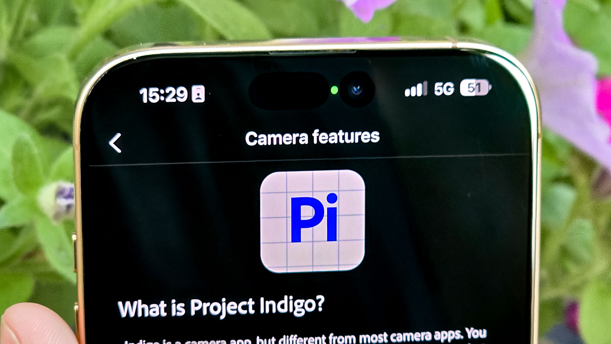 Adobe Project Indigo logo