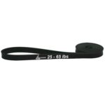 LEZER Resistance Bands - 25-65 lbs, Black - Workout & Physical Therapy Bands with Instruction