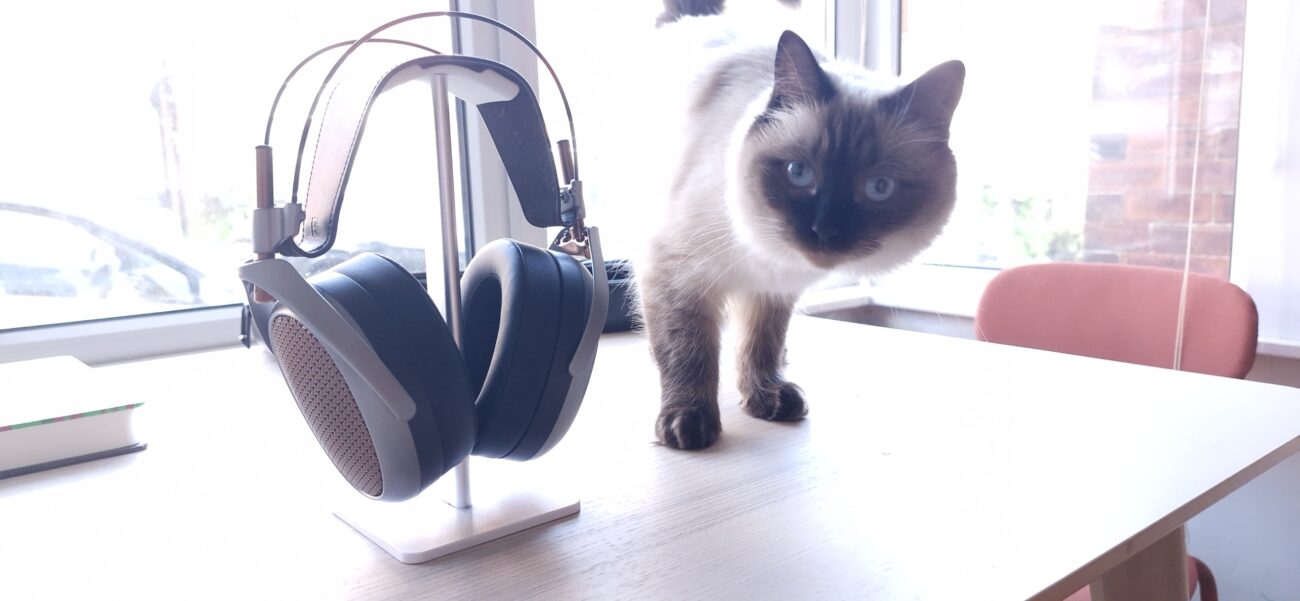 Meze Audio Poet headphones on a wooden table
