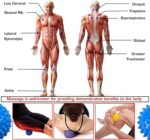 NETCLUB Acupressure Massage Ball With Finger Care Body Massager Fitness Ball Pointed Ball Pain And Relief Massager Acupuncture Kit, Blue