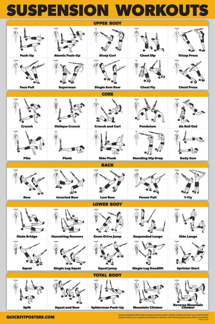 Palace Learning QuickFit Suspension Workout Poster - Double Sided (Laminated, 18" x 27")