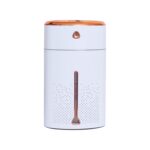 Ssanvi 1 Litre Super Quiet Auto Shut-Off Ice Fog Mist Humidifier for Room Moisture | Aroma Diffuser for Home, office, spa, nursery & living room Cool Mist Humidifiers (White)
