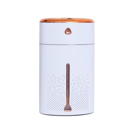 Ssanvi 1 Litre Super Quiet Auto Shut-Off Ice Fog Mist Humidifier for Room Moisture | Aroma Diffuser for Home, office, spa, nursery & living room Cool Mist Humidifiers (White)