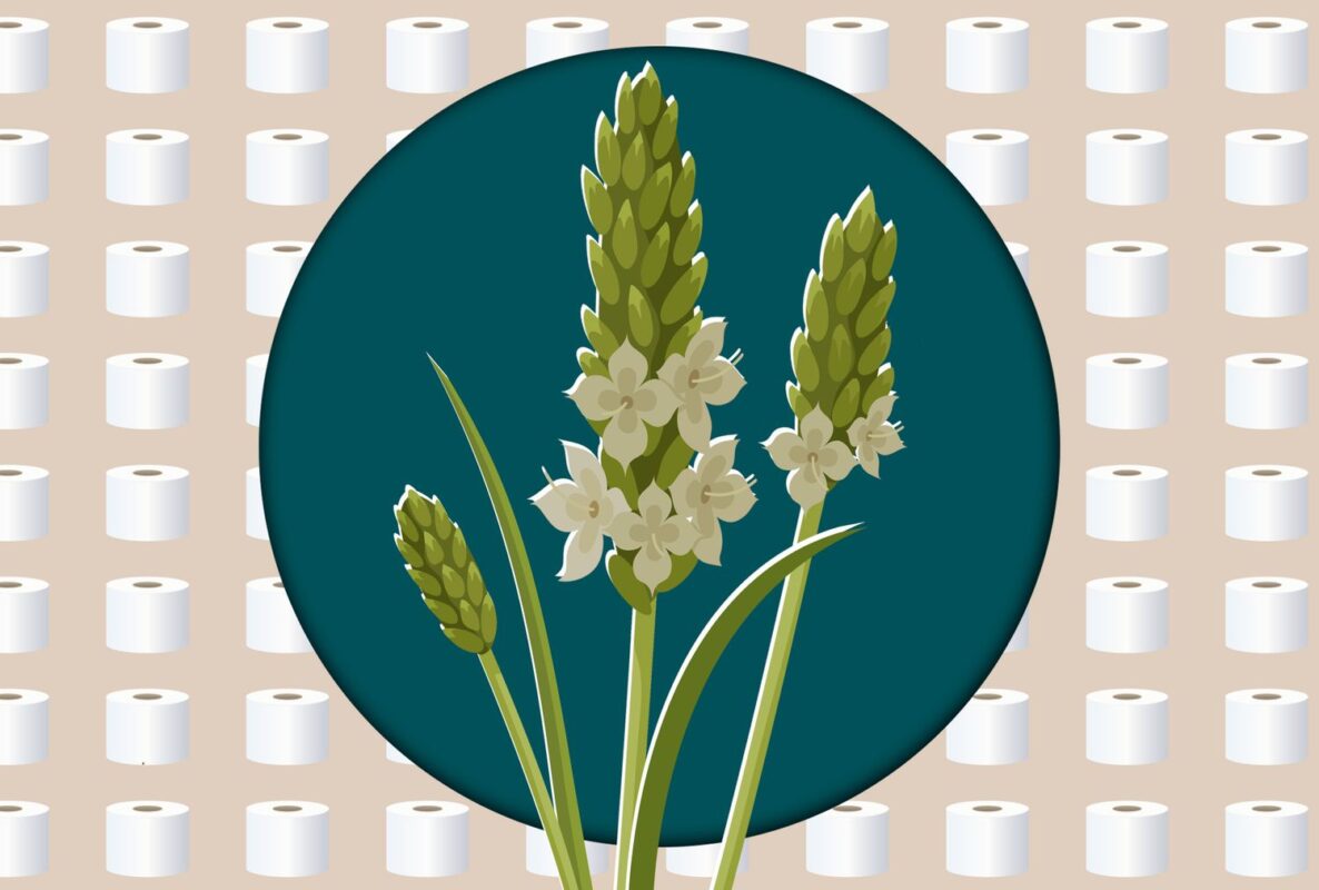 The Best Supplement to Help You Poop, Dietitian-Approved