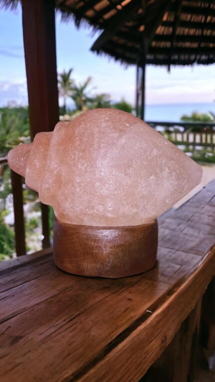Josan Brothers USB Salt Lamp Himalayan Crystal Rock Salt USB Lamp for Computer | Laptop | Car | Weight 500 g (SHANKH/Conch USB)
