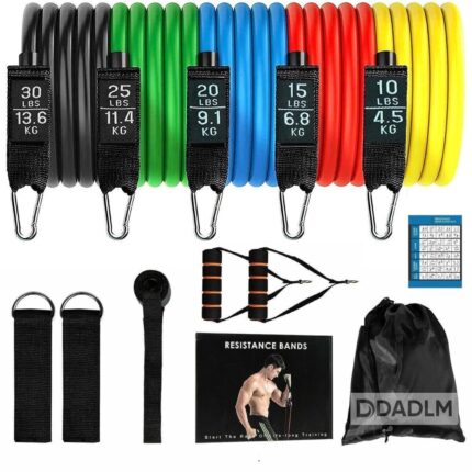 DADLM® Resistance Bands Set for Exercise, Stretching and Workout Toning Tube Kit with Foam Handles, Door Anchor, Ankle Strap and Carrying Bag Set of 11 in 1 for Men,Women/-* (1)