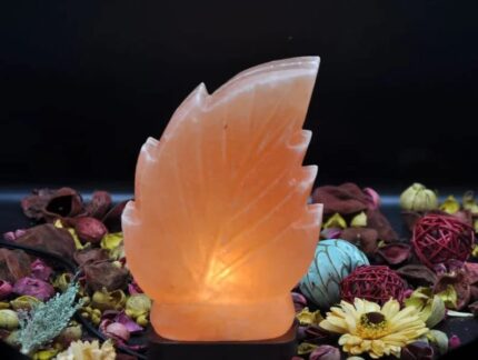 Josan Brothers Natural Air Purifier Ionizer Himalayan Salt Lamp -| Remove Negative Energy from Home & Office | Helps in Meditation | 100% Natural Rock Salt Lamp | Contains Energy | (Leaf Shape)