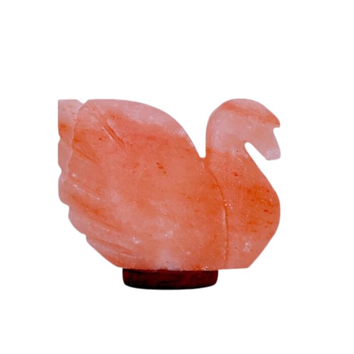 GANGJI Himalayan Rock Salt Lamp | Pink Crystal with Wooden Base | Increase Positive Energy and Improve Sleeping | Vastu | Natural Air Purifier Ionizer | Swan