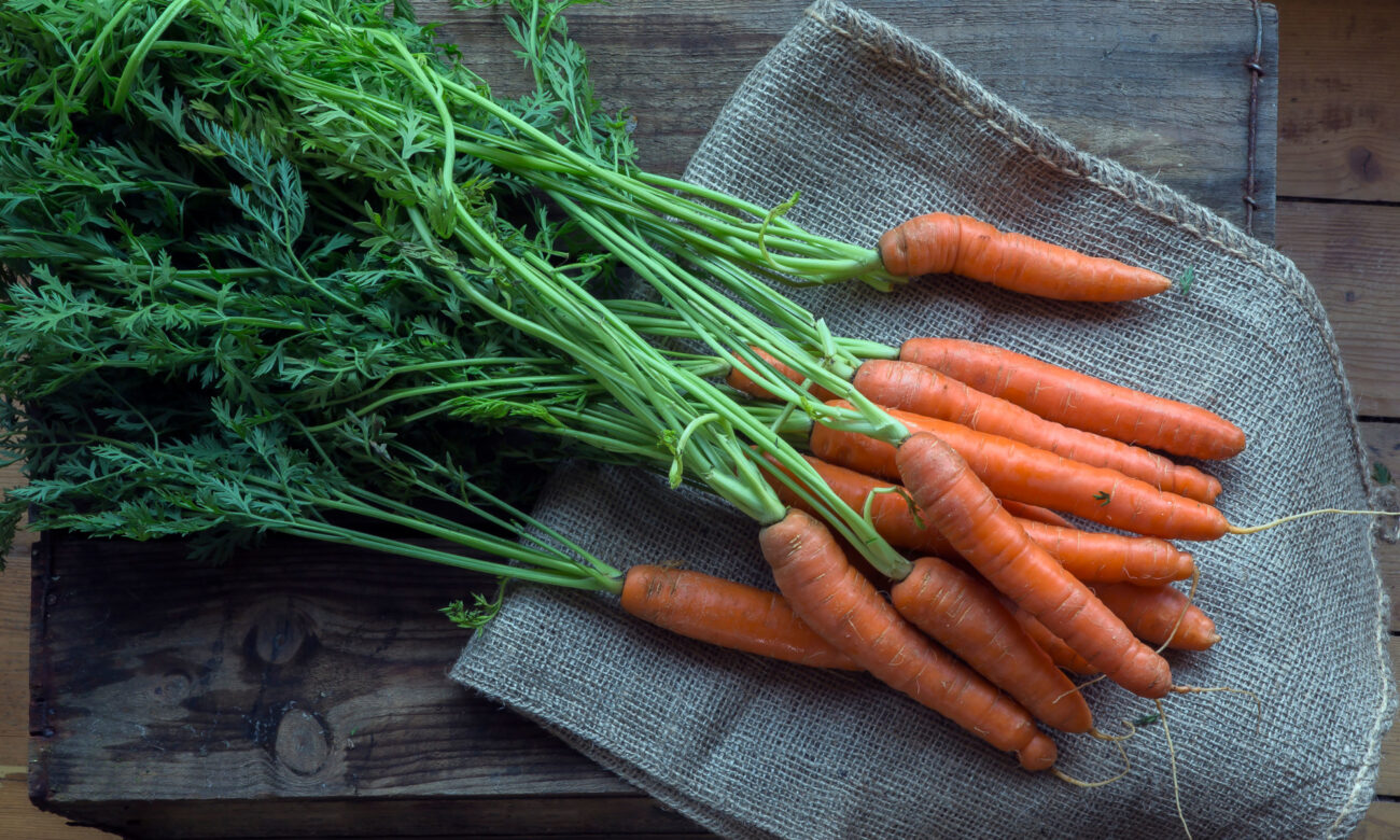 Are Carrots Really That Great For Eye Health? An Eye Doc Answers