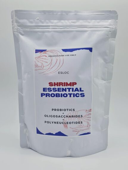 Biofloc Probiotics Fatty acids Protien for Shrimp Prawn (Shrimp Essential Probiotics, 500 gm)