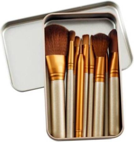 ClubBeauty Professional Makeup Brush Set, 12 Pieces with Storage Tin, Gold and Champagne