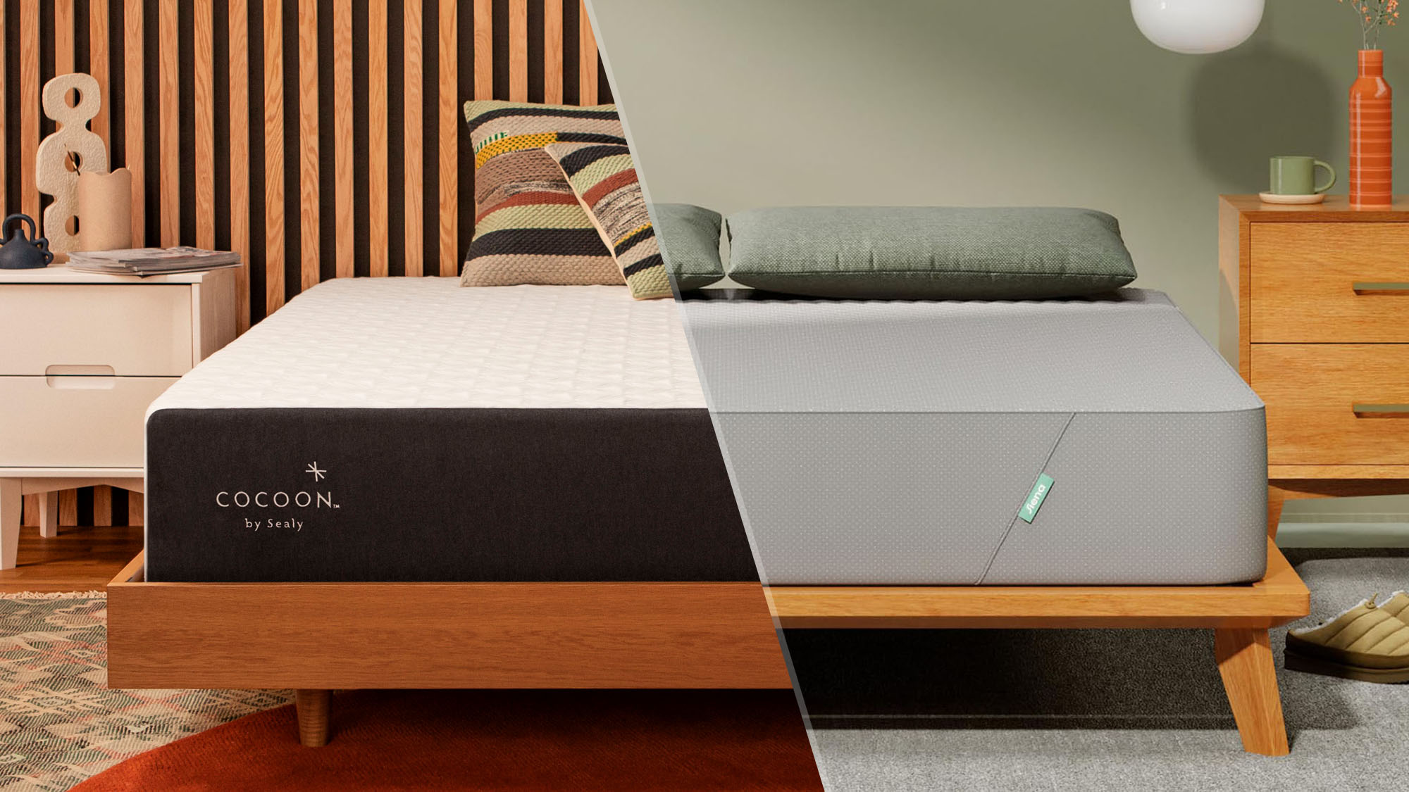 Cocoon by Sealy Chill vs Siena Signature: Which cheap memory foam mattress should you buy?