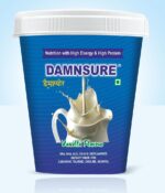 DamnSure Nutritional Supplement with All Essential Vitamins, Minerals & Antioxidants | 100% Vegetarian | 100% Sugar Free | 400 Grams