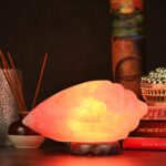 Global Aroma Natural Himalayan Salt Shank/Conch Shape Lamp (1-2 KG)