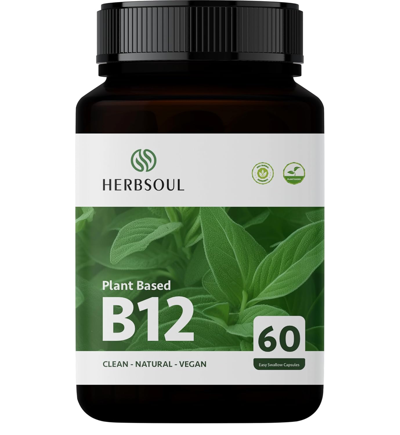 Herbsoul Plant Based Vitamin B12 Supplement for Men & Women Vegetarian| Good For Digestion And Nerve Health | Glowing Skin For Men & Women Supports Healthy Mood, Energy, Heart & Eye Health 60 Capsules