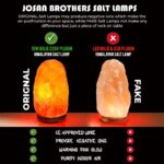 Josan Brothers Himalayan Rock Salt lamp Natural Shape 1.75-2 kg 7" Height | Placing a Himalayan Salt lamp in Every Room in Your Home Have a Lovely Ambiance (Natural Salt Lamp 1.75 Kg With Dimmer Cord)