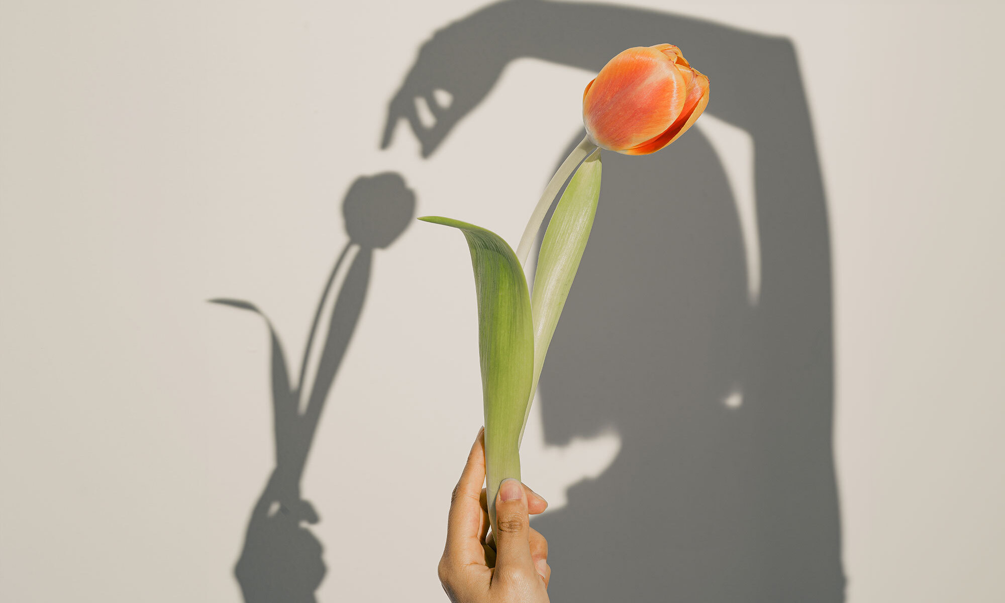 Let's Talk About The Vaginal Microbiome: Here's What You Need To Know