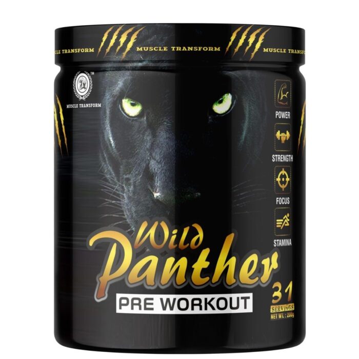 MUSCLE TRANSFORM NUTRACEUTICAL- BETA ALANINE, CREATINE, CITRULLINE POWDER [31 Servings]