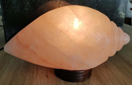 Malowal® Natural Himalayan Rock Salt Lamp SHANKH | Conch Shaped for Vastu, Home Decor, Feng Shui, Healing, Peace & Harmony, Gifting (3Kg - 4Kg)