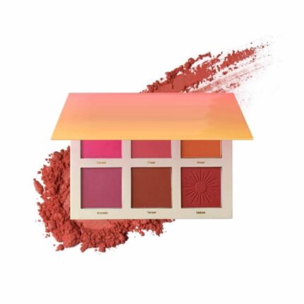 NYLI Professional 6 Color Blush Palette: Smooth, Highly Pigmented Formula | Ideal for Natural Glow, Highlighting, Blushing, and Eyeshadow Looks