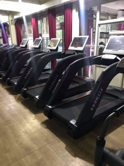 Nexgen Fitness Treadmill