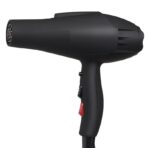 Raptas (1 year replacement warranty) Professional Salon Hair Dryers DC Motor Diffuser Nozzle Styling Low Noise 2 Speed