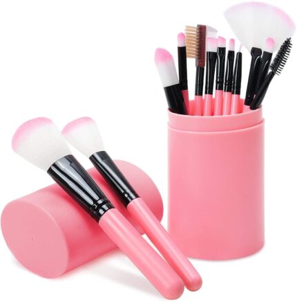 Sloane Makeup Brush Set Of 12 With Easy To Carry Box (Pink) | Travel Size Cosmetic Brushes Kit For Face Foundation Brush Eyeshadow With Storage | Makeup Box For Women |