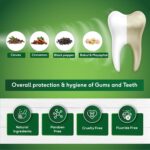 Sud-anta Gel Toothpaste Ayurvedic Herbal Gel Fresh Breath Toothpaste - All Natural,Sls Free,Fluoride Free Tooth Paste With Charcoal,Salt & More - 100G, For Kids And Adults (Pack of 3)