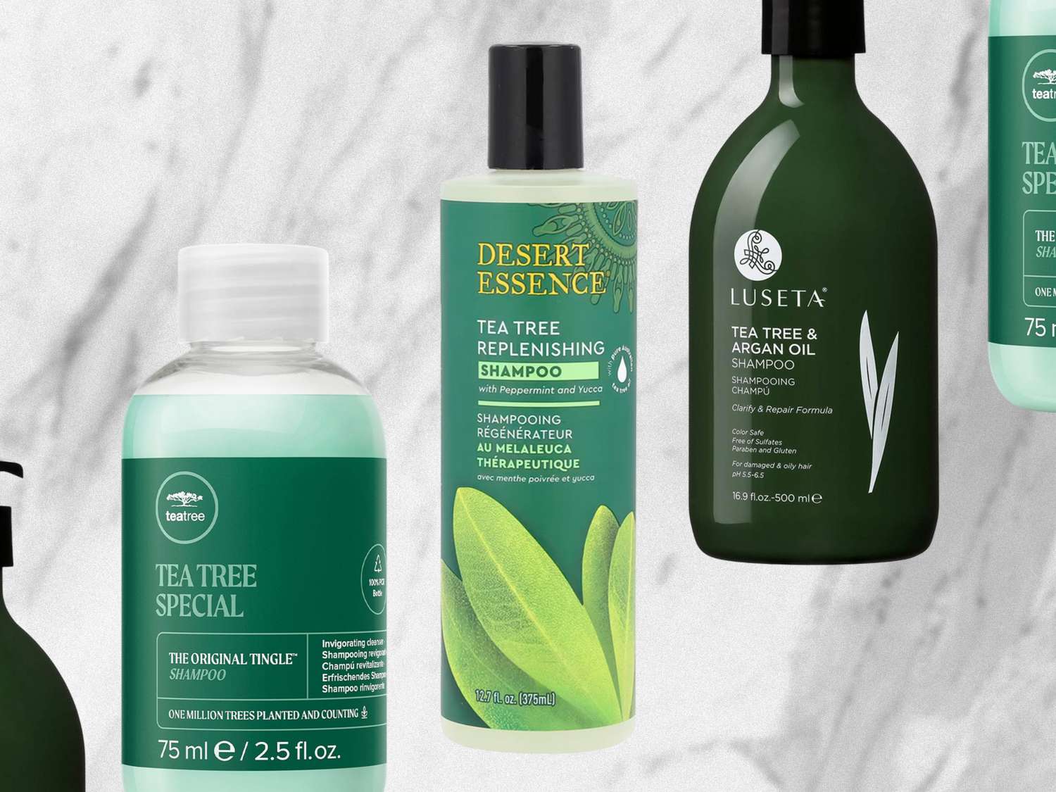 The 5 Best Tea Tree Oil Shampoos of 2025, Expert-Backed