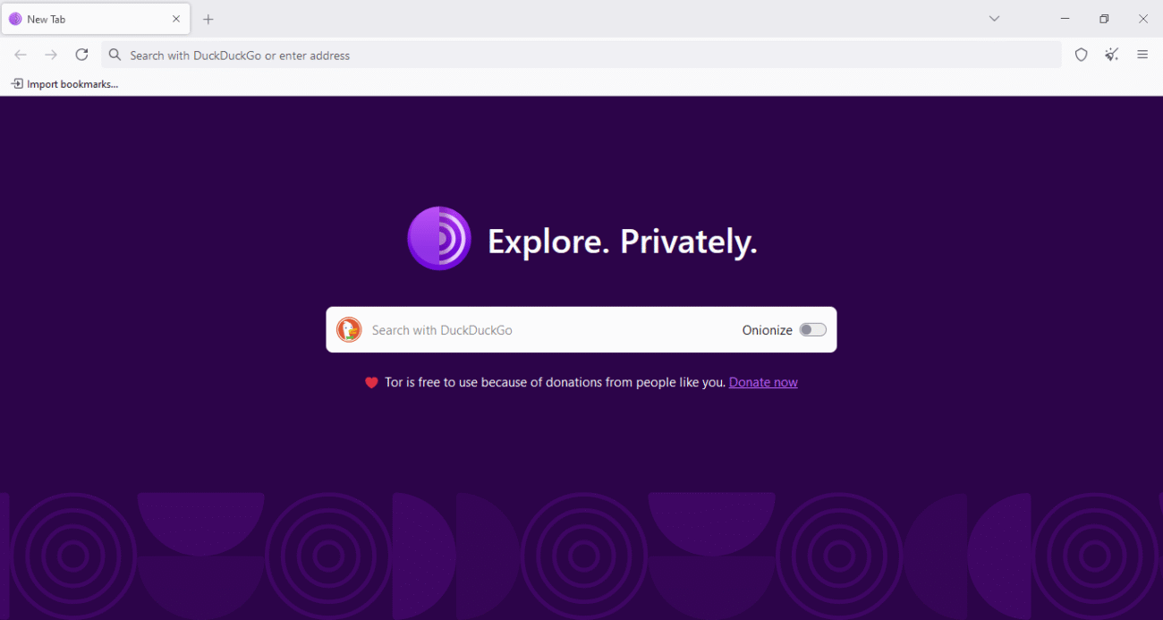 Tor browser review