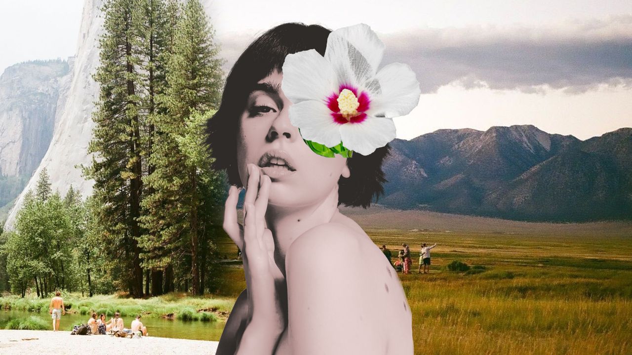I Lived in the Woods for Five Months. Here’s What I Learned About Beauty.