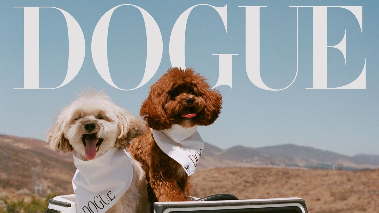 Sabrina Carpenter’s dogs, Goodwin and Louie, are a man’s best friend