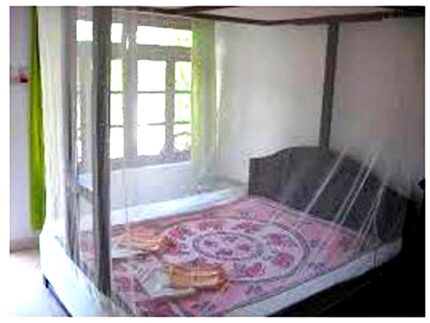 Shahji Creation Double Bed Mosquito Net, Multicolor (6X6.5Feet)