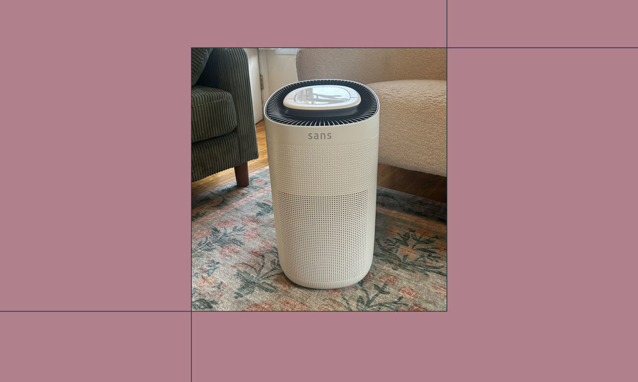 Dust, Mold, & Cooking Odors Are No Match For This Powerful Air Purifier