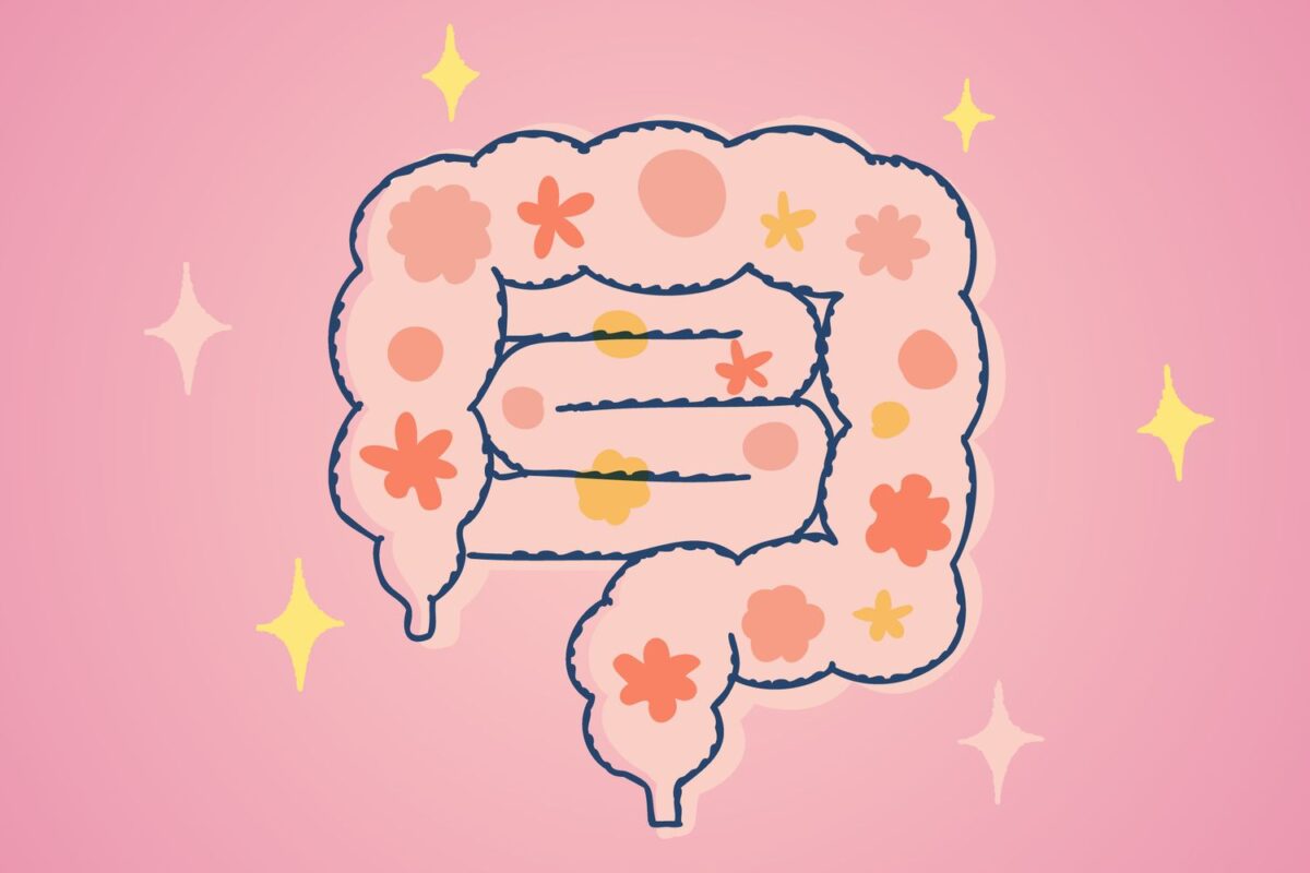 Your Gut Health May Affect Longevity