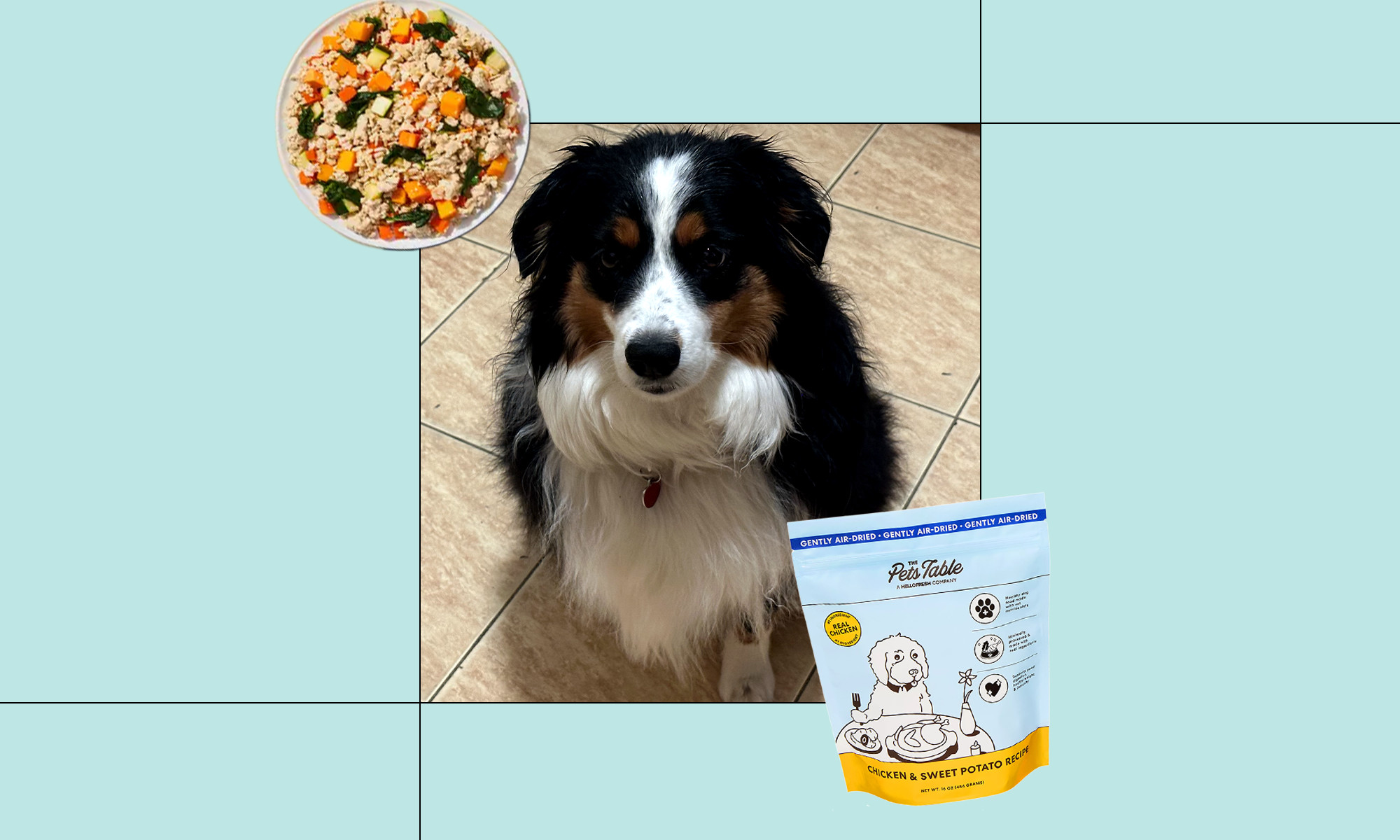 Pets Table Review 2025: Is It Healthy?