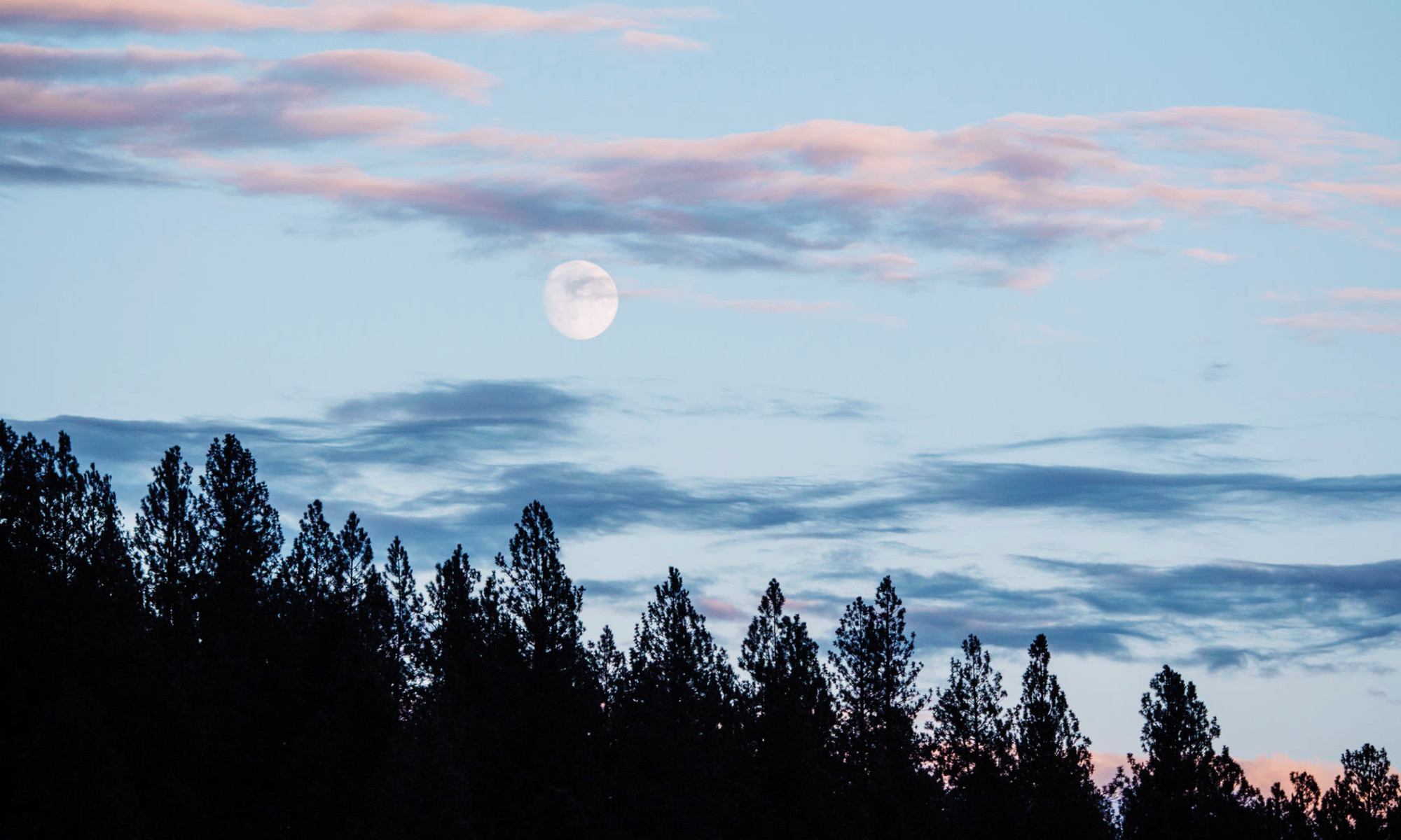 The First Full Moon Of 2026 Is In Cancer—Here's What To Know