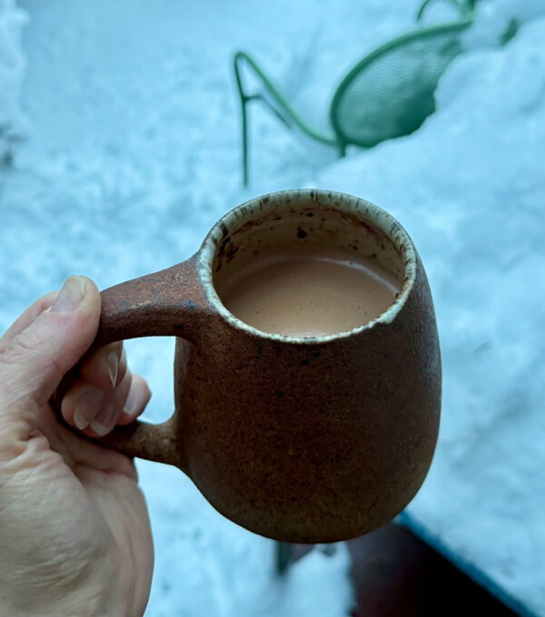 How To Make Hot Cocoa With Protein Powder: 3-Ingredient Recipe