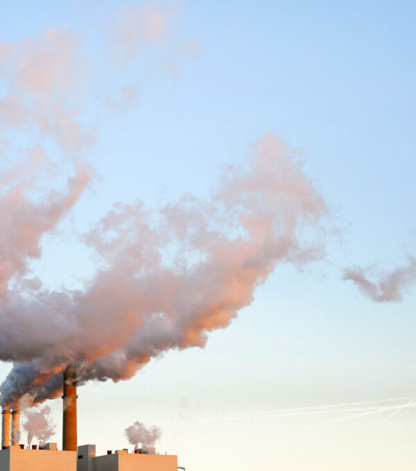 The Surprising Link Between Air Quality & Brain Health